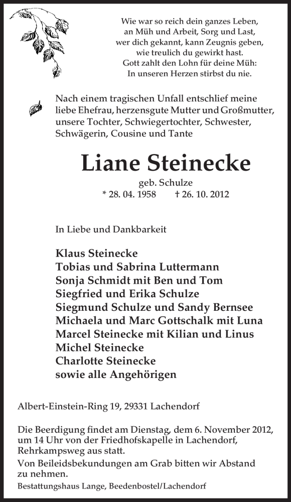  Traueranzeige für Liane Steinecke vom 02.11.2012 aus Uelzen