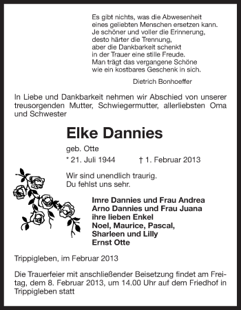 Traueranzeige von Elke Dannies von Uelzen