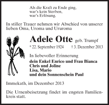 Traueranzeige von Adele Otte von Uelzen