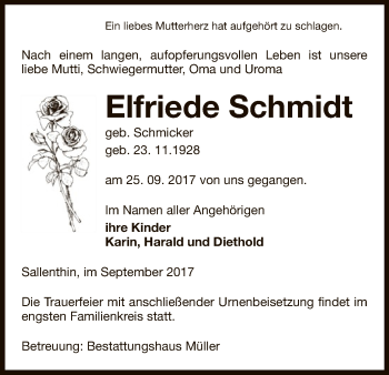 Traueranzeige von Elfriede Schmidt von Uelzen