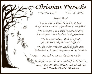 Traueranzeige von Christian Pursche von Uelzen