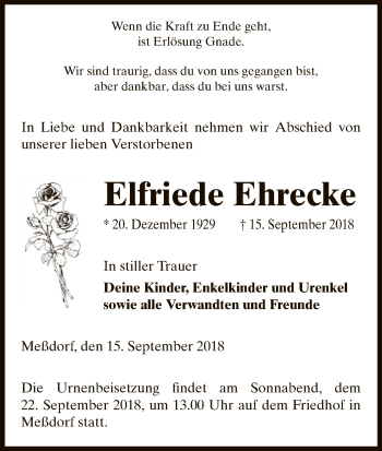 Traueranzeige von Elfriede Ehrecke von Uelzen