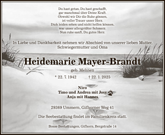 Traueranzeige von Heidemarie Mayer-Brandt von UEL