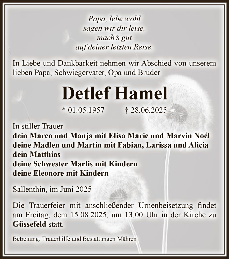  Traueranzeige für Detlef Hamel vom 04.07.2025 aus AMZ